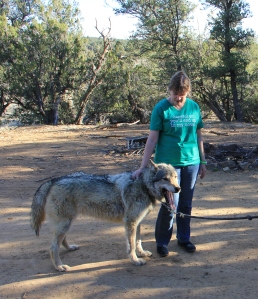Me petting Zoeroo, Gray Timber Wolf up at our cabin, Wild Spirit Wolf Center He's been used in some promo for Game of Thrones